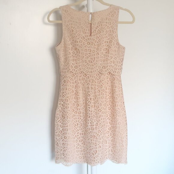 J.Crew Tan Lace Sleeveless Sheath Dress Size 0 Scalloped Hem Wedding Party - Picture 3 of 8